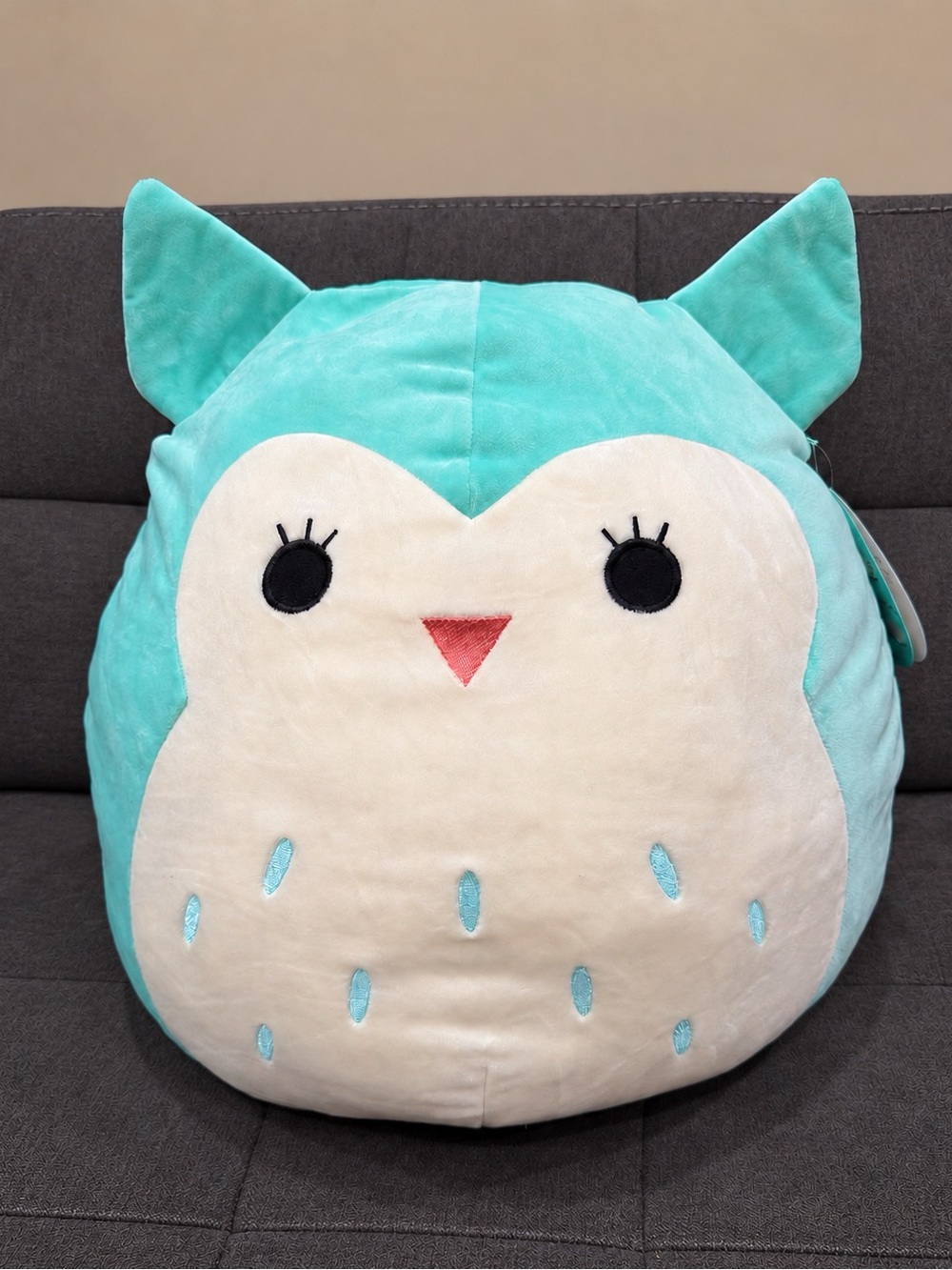 Squishmallows Winston Owl 16” Light Teal Mint HTF